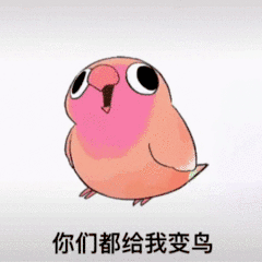 魔性 搖頭小鳥 沙雕 搞笑 逗