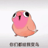 魔性 摇头小鸟 沙雕 搞笑 逗