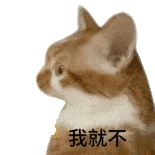 萌寵 貓咪 我就不 呆萌 可愛