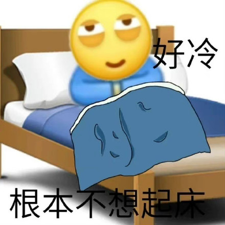 天冷的表情包图片