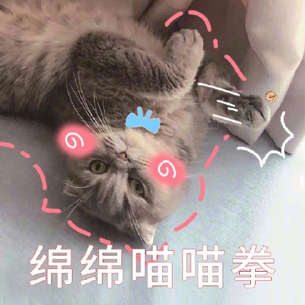 猫猫拳表情图片