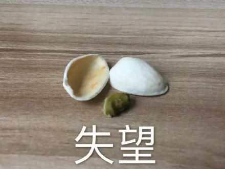 失望开心果内涵人生品味gif动图