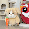 萌宠 猫咪 打你 呆萌 可爱
