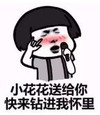 暴漫 文字表情包 小花花送给你快来钻进我怀里 搞笑 逗 沙雕