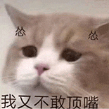 萌宠