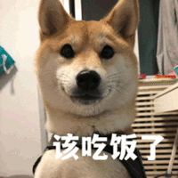 可爱 沙雕 该吃饭了 搞笑 日常
