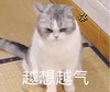 萌宠 猫星人 越想越气 生气 搞怪 呆萌