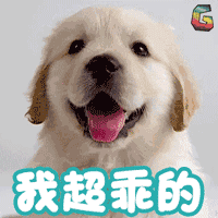 狗呲牙表情包动图图片