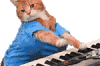 萌宠 猫咪 弹琴 呆萌 可爱