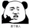 暴漫 熊猫头 是个狼人 搞笑 逗 沙雕