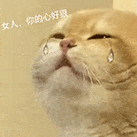 萌宠 猫咪 女人 你的心好狠 呆萌 可爱