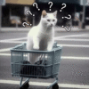 萌宠 猫咪 ？ 呆萌 可爱