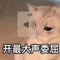 萌宠 猫咪 开最大声委屈 呆萌 可爱