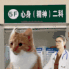 萌宠 猫咪 心身精神二科 呆萌 可爱