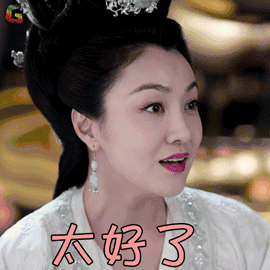 芸汐传 宜太妃 谭琍敏 开心 太好了 soogif soogif出品