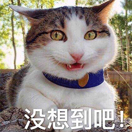 萌宠猫咪猫没想到吧搞怪gif动图