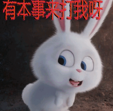 萌宠大作战兔子表情包图片