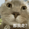 萌宠 猫咪 那我走 呆萌 可爱