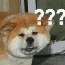 萌宠 狗狗 ？？？ 呆萌 可爱