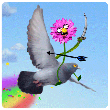 小鸟飞动态图图片