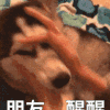 萌宠 狗狗 朋友醒醒 呆萌 可爱