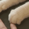 萌宠 猫咪 爪子 呆萌 可爱