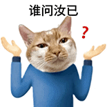 萌寵 貓咪 誰問汝已 呆萌 可愛