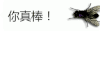聊天表情 苍蝇 你真棒 不错 搞怪 逗