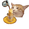 萌宠 猫咪 吃 呆萌 可爱