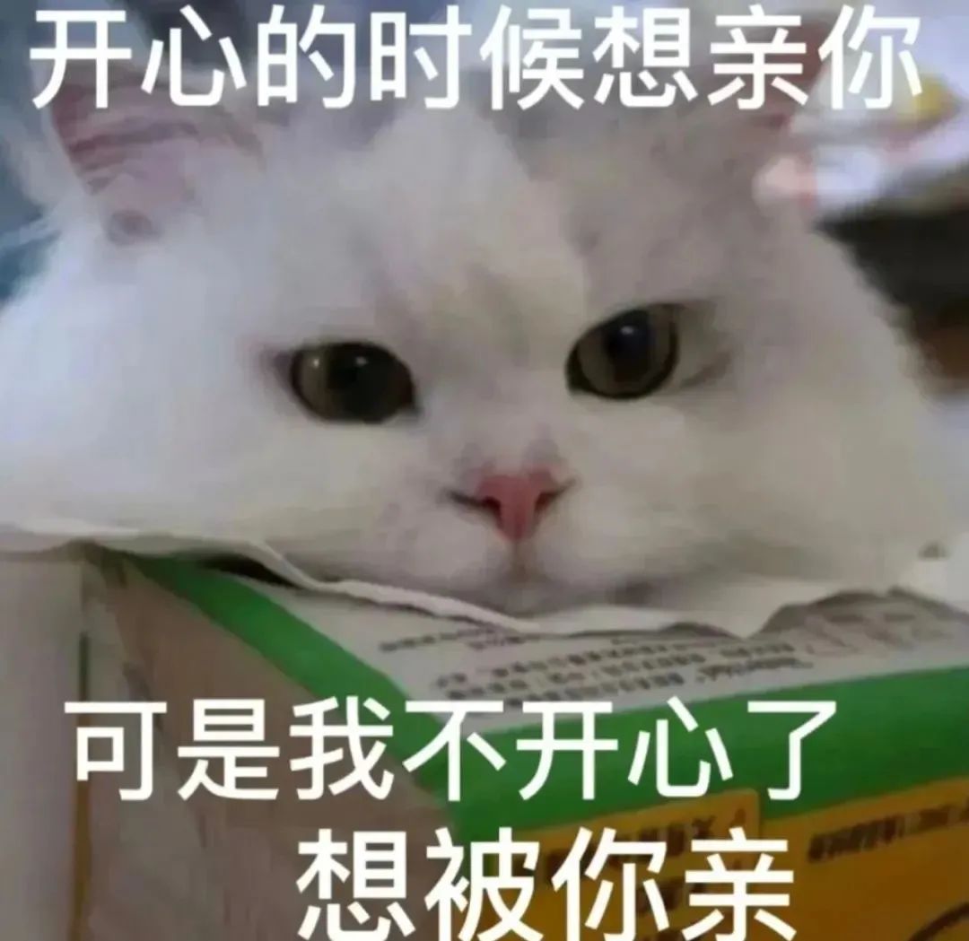 萌宠猫咪亲你呆萌可爱gif动图