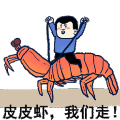 皮皮虾我们走 你的皮皮虾 皮皮虾