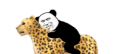 熊猫头 沙雕 骑小动物 搞笑