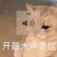 萌宠 猫咪 开最大声委屈 呆萌 可爱