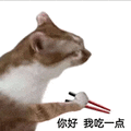 萌宠 猫咪 你好我吃一点 呆萌 可爱