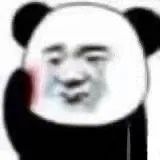 暴漫 熊猫头 沙雕 搞笑 逗 流泪熊猫头