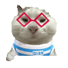 萌宠 猫咪 盯 呆萌 可爱