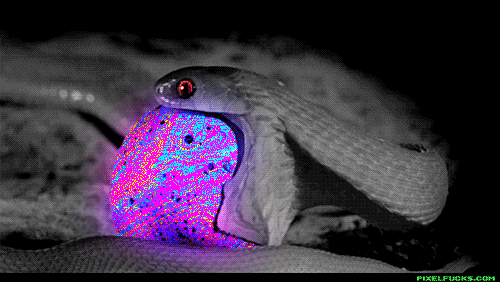 微信蛇吓人动态图片图片