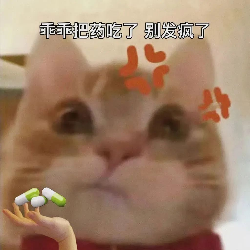 歪嘴小猫 沙雕 搞笑 可爱
