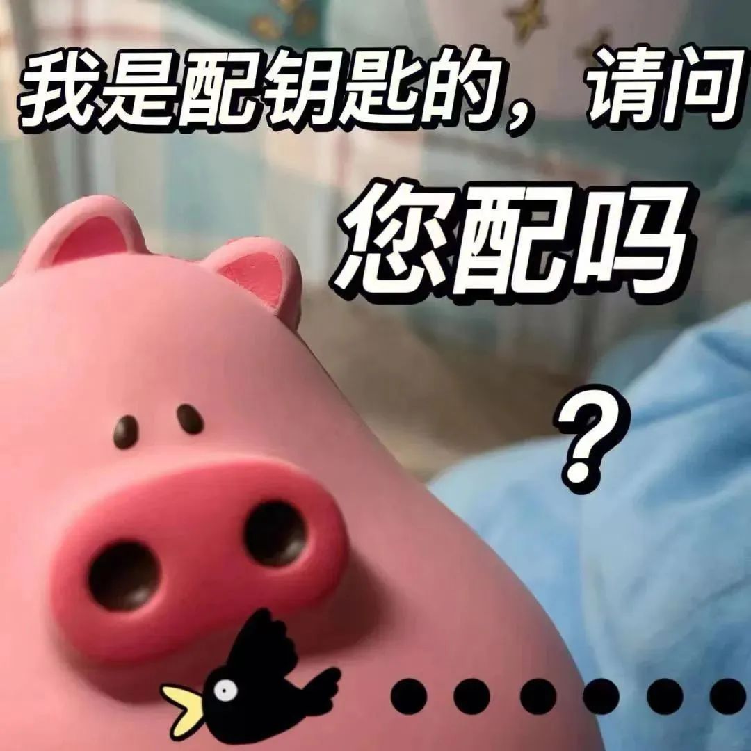 话痨猪猪 可爱 沙雕 搞笑 逗