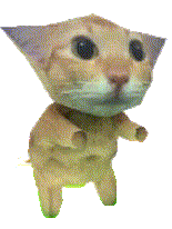 阿米嘎蒂朵 猫咪 喵喵 可爱 搞怪