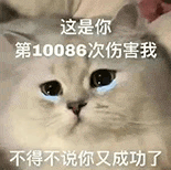 萌宠 猫咪 伤害我 呆萌 可爱