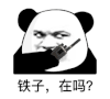 暴漫 熊猫头 铁子 在吗 搞怪 逗