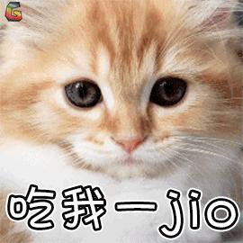 吃我jiojio表情包图片