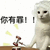萌宠 猫咪 你有罪 呆萌 可爱