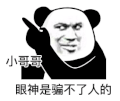 暴漫 熊猫头 小哥哥眼神是骗不了人的 搞怪 逗