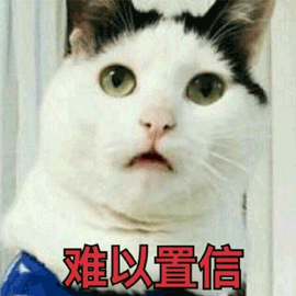 猫咪gif蒙圈gif难以置信gif可爱gif呆萌gif