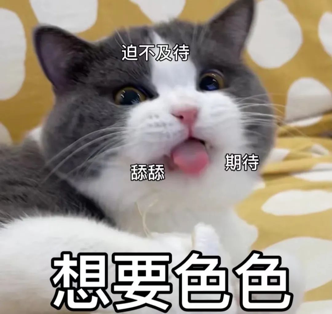 猫猫表情包 刺激啊图片