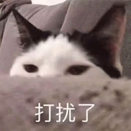 萌宠