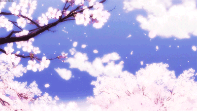 樱花飘落二次元图片