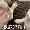 萌宠 狗狗 吃屁吧你 呆萌 可爱